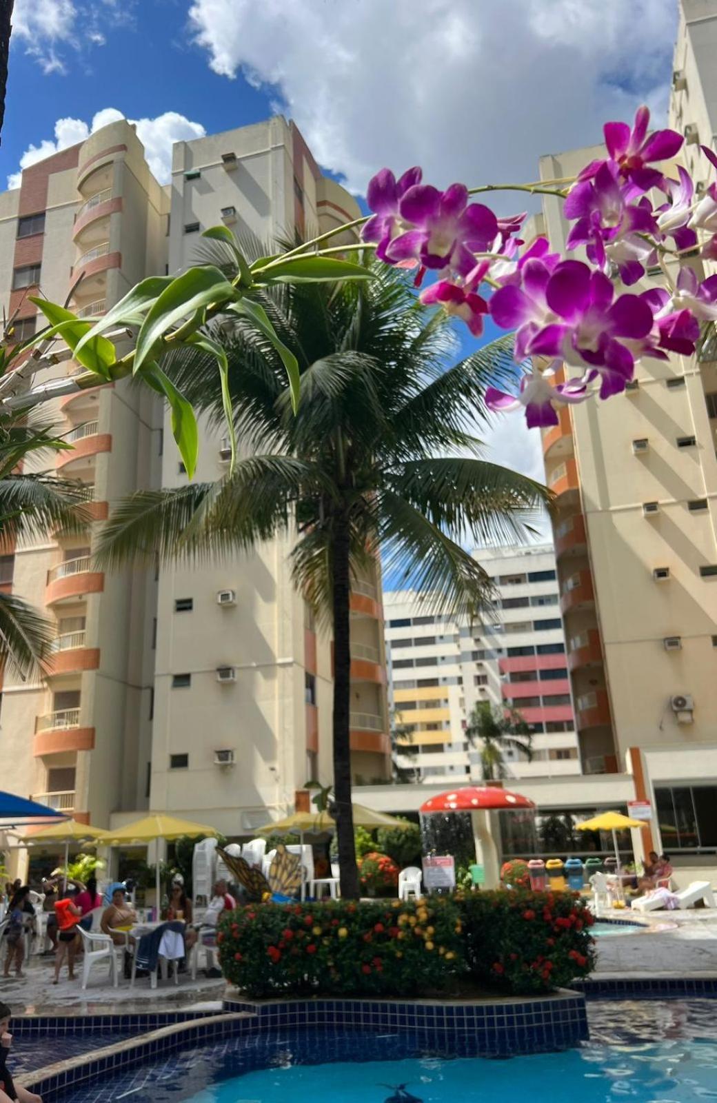 Jardins Das Thermas - Caldas Novas Vista Para Piscina Buitenkant foto